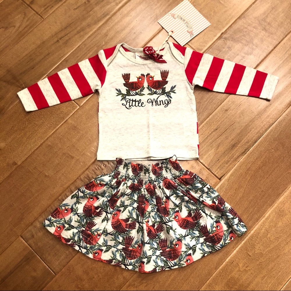 Paper Wings Red Robin Baby Girl Skirt and Top Set Size 6 months